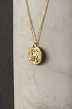 Capricorn - Image 2