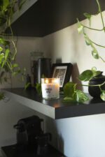 Damask Rose - Image 2