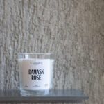 Damask Rose