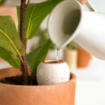 Blanc Grainé Watering Pot - Image 3